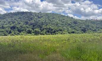 Imagem: Ds(lugar perfeito Rodeado pela natureza!!