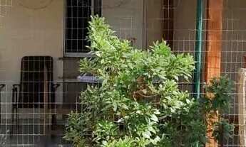 Imagem: Apartamento à Venda em Planalto do Sol