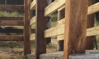 Imagem 2: Excelente Fazenda de 24,5 alqueires