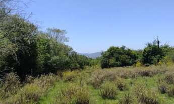 Imagem 3: 51 hectares de campo sem benfeitorias