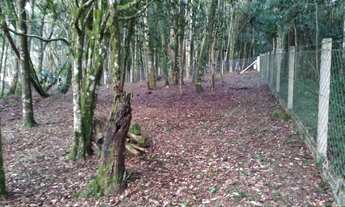 Imagem 3: Belíssima chácara em Agudos do Sul