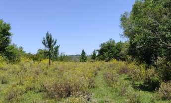Imagem 2: 51 hectares de campo sem benfeitorias