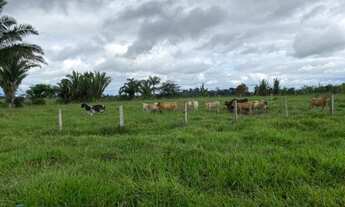 Imagem: Fazenda 210 alqueires Machadinho D x27