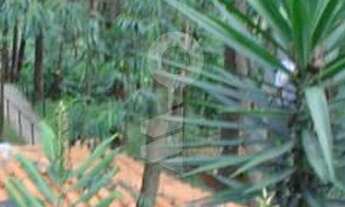 Imagem: Apartamento para venda possui 230 metros