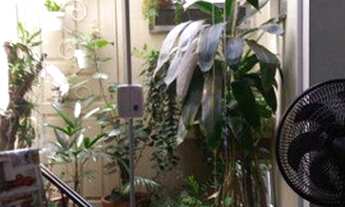 Imagem 2: Sobrado com 2 dormitórios à venda, 65 m² por R$ 580.000,00 - Ipiranga - São Paulo/SP