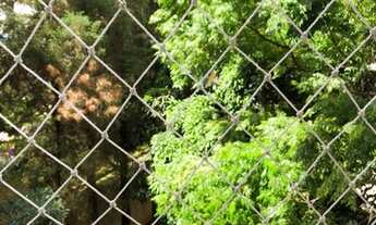 Imagem 6: Apartamento para venda com 51 metros quadrados com 2 quartos em Vila Ivone - São Paulo - S