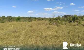 Imagem 7: Fazenda com dupla aptidão na região do Vale do Araguaia-TO