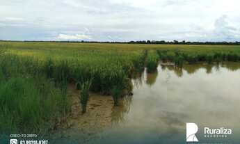 Imagem 13: Fazenda de projeto irrigado por controle de lençol freático na Lagoa da Confunsão - TO