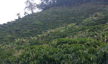 Imagem 7: Sitio Viana 6 hequitares