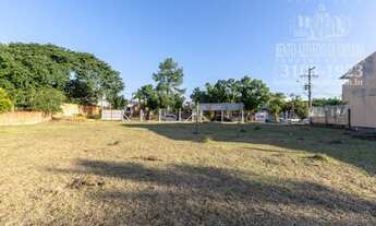 Imagem 7: PORTO ALEGRE - Terreno Padrão - Ipanema