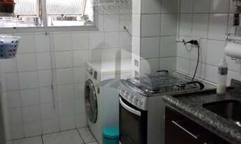 Imagem 5: SãO PAULO - Padrão - Vila Nair