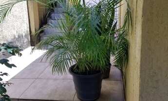 Imagem 4: Venda Residential / Home Vila Gustavo São Paulo