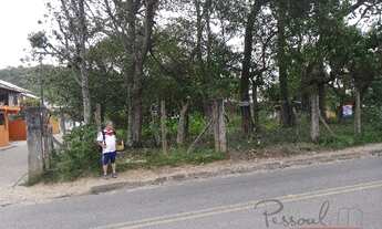 Imagem 4: Florianópolis - Terreno Padrão - Cachoeira do Bom Jesus