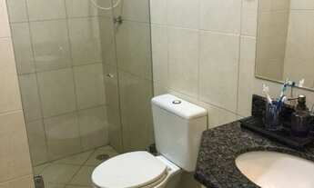 Imagem 5: Golden Gate Park