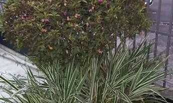 Imagem 3: Casa para venda possui 164 metros quadrados com 10 quartos em Alípio de Melo - Belo Horizo