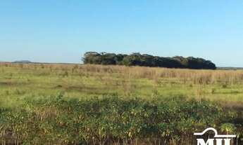 Imagem 7: Fazenda em Araguacema-TO. > 300 Alq. (1.452 Há