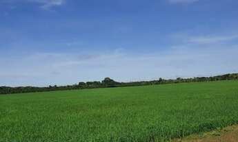 Imagem 4: Fazenda 1.200 alqueires município de Humaitá