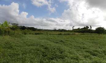 Imagem: Vendo terreno Plano, no Km 12 de Aldeia