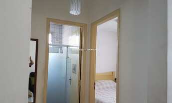 Imagem 6: SãO PAULO - Padrão - CIDADE DUTRA