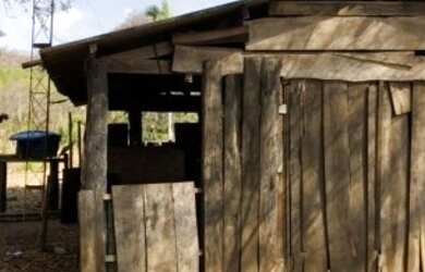 Imagem 13: Fazenda 2.350 ALQ, Paranã - TO