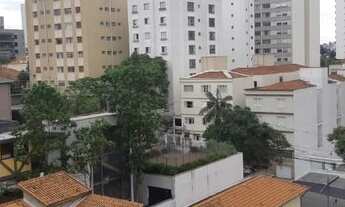 Imagem 6: SãO PAULO - Padrão - PERDIZES