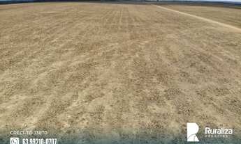 Imagem 7: Fazenda com 4.602,69 hectares e alto potencial para agricultura na região de Goianorte - T