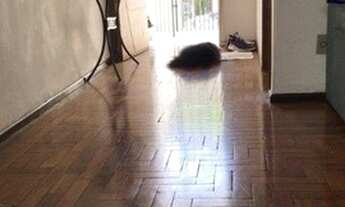 Imagem 10: Sobrado para venda com 110 m² com 2 quartos