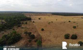 Imagem 2: Fazenda com dupla aptidão no Vale do Araguaia - TO