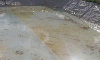 Imagem 5: Oportunidade vendo excelente chacara escriturada