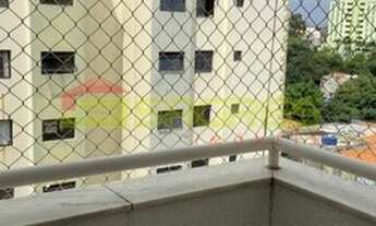 Imagem 3: SãO PAULO - Padrão - Vila Mazzei