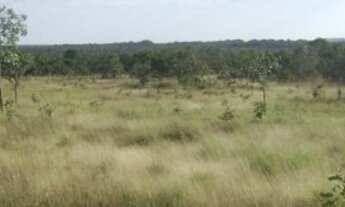 Imagem 3: Fazenda 930 Alq. (4.500 Há). Taipas do Tocantins. (Terra Bruta