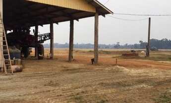 Imagem 4: Fazenda 768 Alqueires Itapuã do Oeste