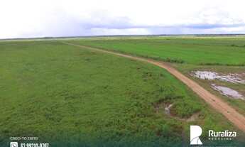 Imagem 3: Fazenda de projeto irrigado por controle de lençol freático na Lagoa da Confunsão - TO