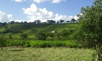 Imagem: Fazenda/Sítio/Chácara para venda tem 1