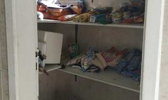 Imagem 6: Apartamento para aluguel em Bairro Novo