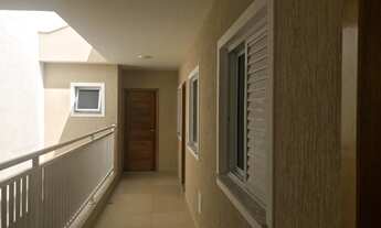 Imagem 3: SãO PAULO - Padrão - Vila Paiva