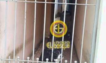 Imagem 4: Casa com 2 dormitórios para alugar por R$ 1.200,00/mês - Jardim Iguatemi - São Paulo/SP