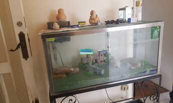 Imagem 3: SãO PAULO - Casa Padrão - Alto da Lapa