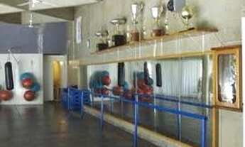 Imagem 5: Apartamento para aluguel com 54 metros quadrados com 2 quartos em Jardim Olympia - São Pau