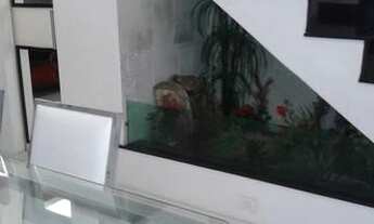 Imagem 7: São Paulo - Apartamento Padrão - Perdizes