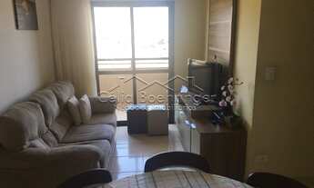 Imagem 4: SãO PAULO - Padrão - Tatuapé