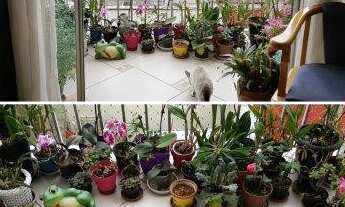 Imagem 7: Apartamento para venda possui 84 metros quadrados em Pinheiros - São Paulo - SP