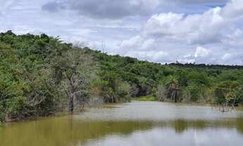 Imagem 7: Terreno Maravilhoso de 20.000m² com Lagoa e Riacho. 175.002 + Parcelas