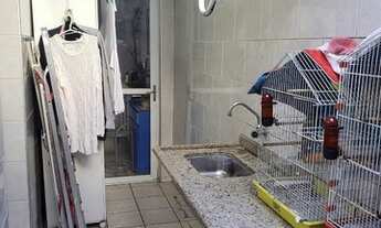 Imagem 7: São Paulo - Casa Padrão - Jardim Maria Duarte