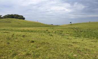 Imagem 4: CHÁCARAS RINCÃO DAS FLORES - CAXIAS - PRÓXIMO ROTA DO SOL