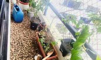 Imagem 4: COBERTURA, NASCENTE, 4 QUARTOS, 425 M2, PISCINA, ARMÁRIOS, AR