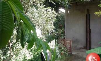 Imagem 2: São Paulo - Casa Padrão - Vila Carrão