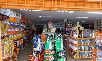 Imagem 6: Vendo Agropecuária com consultório e banho e tosa