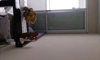 Imagem 7: Apartamento de 01 quarto no Costa e Silva, semimobiliádo