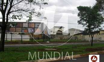 Imagem: Terreno (terreno normal